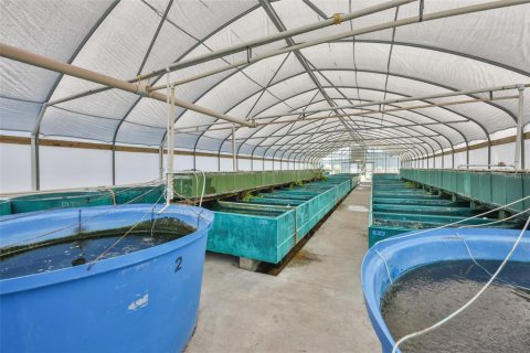 Commercial property in Wimauma, Florida 278.71 sq.m. № 2206138 - photo 27