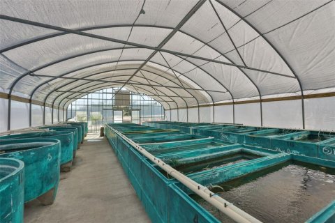 Commercial property in Wimauma, Florida 278.71 sq.m. № 2206138 - photo 30