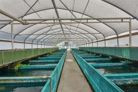 Commercial property in Wimauma, Florida 278.71 sq.m. № 2206138 - photo 28
