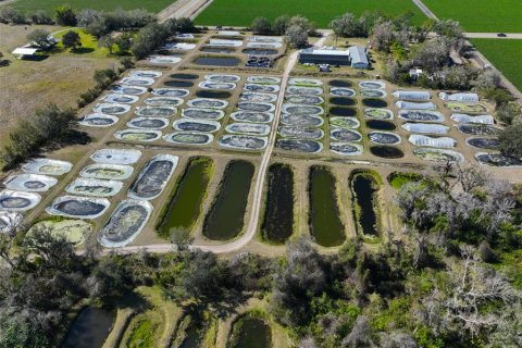 Commercial property in Wimauma, Florida 278.71 sq.m. № 2206138 - photo 16