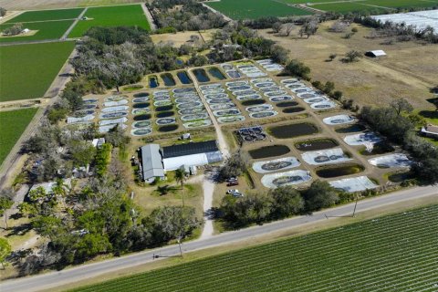 Commercial property in Wimauma, Florida 278.71 sq.m. № 2206138 - photo 6
