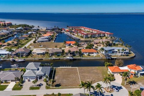 Terrain à Punta Gorda, Floride № 2125885