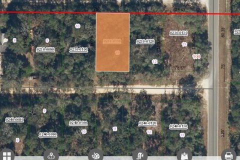 Land in Interlachen, Florida № 2161879