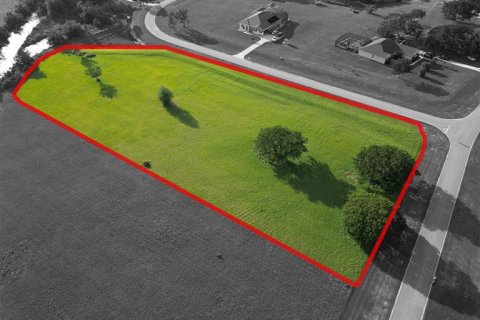 Land in Groveland, Florida № 1761378 - photo 6