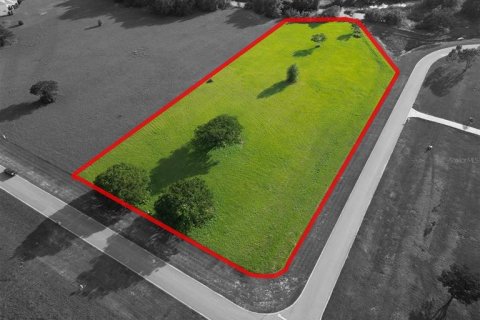 Land in Groveland, Florida № 1761378 - photo 7