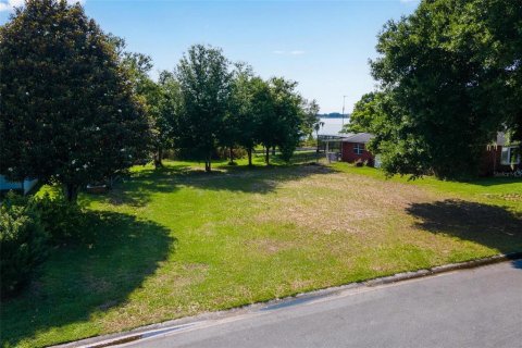 Terreno en venta en Tavares, Florida № 1445998 - foto 6
