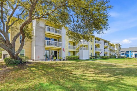 Condo in Palm Harbor, Florida, 3 bedrooms № 2206531