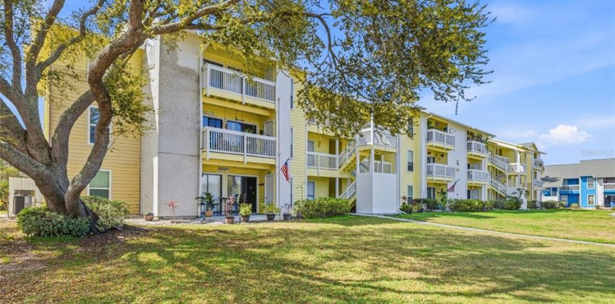Condo in Palm Harbor, Florida, 3 bedrooms  № 2206531
