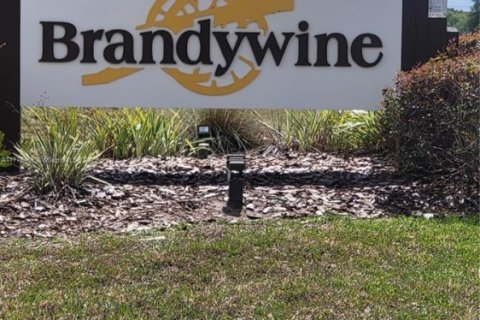 House in DeLand, Florida 3 bedrooms, 206.99 sq.m. № 1738768 - photo 2