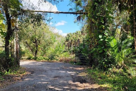 Propiedad comercial en venta en Punta Gorda, Florida № 1561757 - foto 5