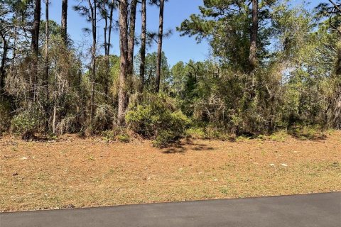 Terrain à Dunnellon, Floride № 2106094