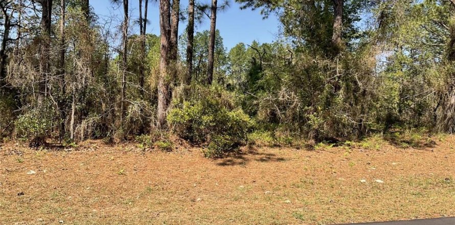 Land in Dunnellon, Florida № 2106094