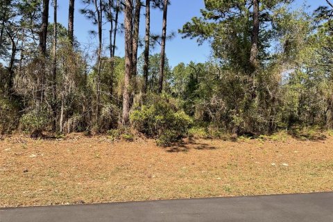 Land in Dunnellon, Florida № 2106094 - photo 3