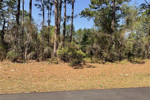 Land in Dunnellon, Florida № 2106094 - photo 2