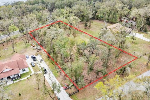 Land in Dade City, Florida № 1527599 - photo 10