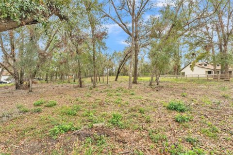 Land in Dade City, Florida № 1527599 - photo 2