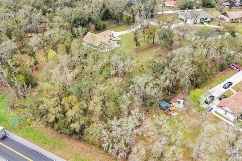 Land in Dade City, Florida № 1527599 - photo 16