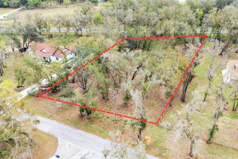Land in Dade City, Florida № 1527599 - photo 11