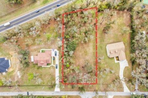 Land in Dade City, Florida № 1527599 - photo 5
