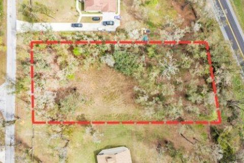 Land in Dade City, Florida № 1527599 - photo 4