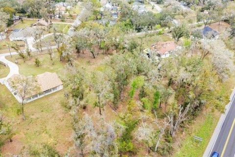 Land in Dade City, Florida № 1527599 - photo 18