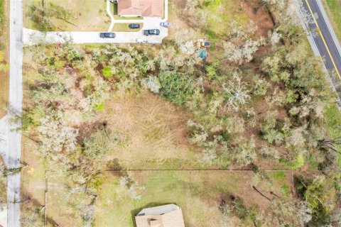 Land in Dade City, Florida № 1527599 - photo 19
