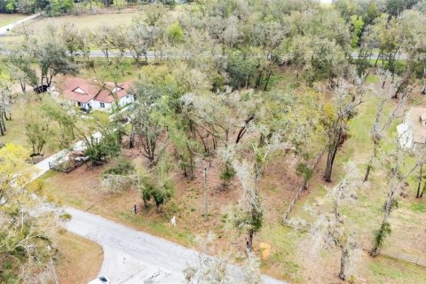 Land in Dade City, Florida № 1527599 - photo 12