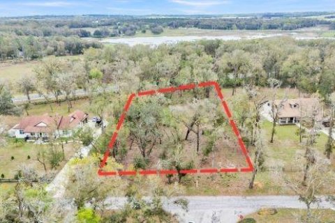 Land in Dade City, Florida № 1527599 - photo 9