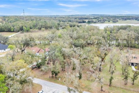Land in Dade City, Florida № 1527599 - photo 13