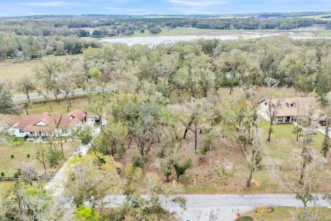 Land in Dade City, Florida № 1527599 - photo 14