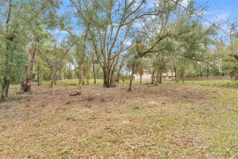 Land in Dade City, Florida № 1527599 - photo 3