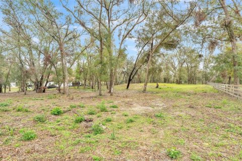 Land in Dade City, Florida № 1527599 - photo 1