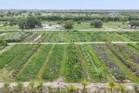 Commercial property in Loxahatchee Groves, Florida № 2249194 - photo 21