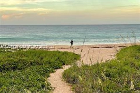 Copropriété à louer à Hutchinson Island South, Floride: 2 chambres, 133.41 m2 № 2154910 - photo 3