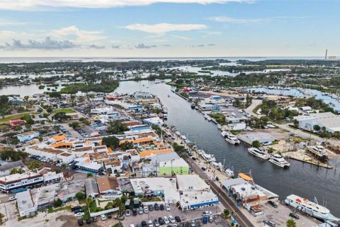 Villa ou maison à vendre à Tarpon Springs, Floride: 3 chambres, 213.58 m2 № 2319087 - photo 13