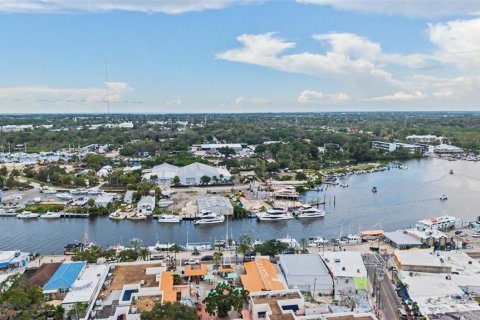 Villa ou maison à vendre à Tarpon Springs, Floride: 3 chambres, 213.58 m2 № 2319087 - photo 12