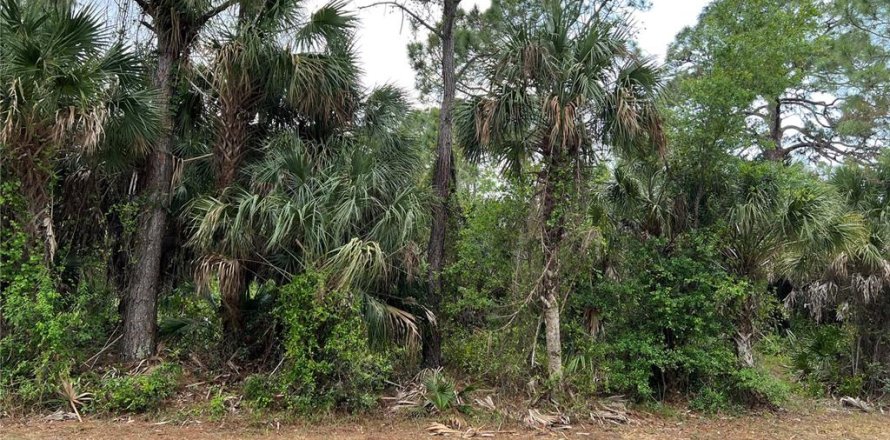 Land in North Port, Florida № 216011