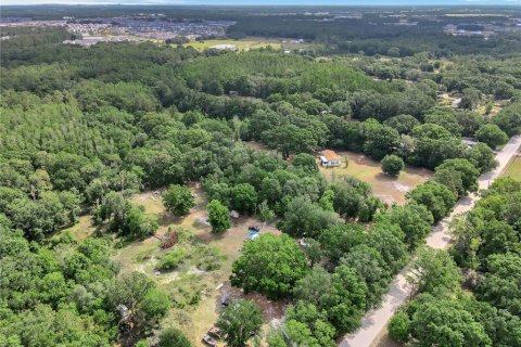 Land in Wesley Chapel, Florida № 1675739 - photo 4