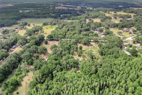 Land in Wesley Chapel, Florida № 1675739 - photo 7