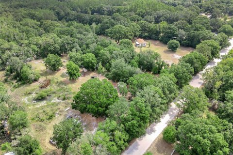 Land in Wesley Chapel, Florida № 1675739 - photo 3