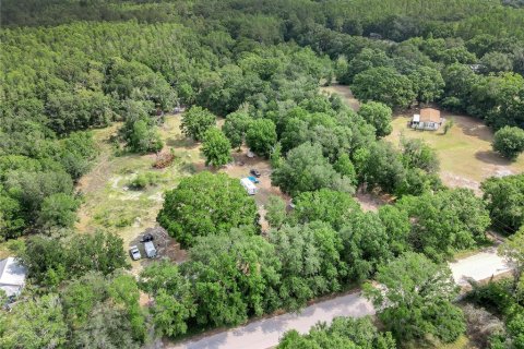 Land in Wesley Chapel, Florida № 1675739 - photo 2