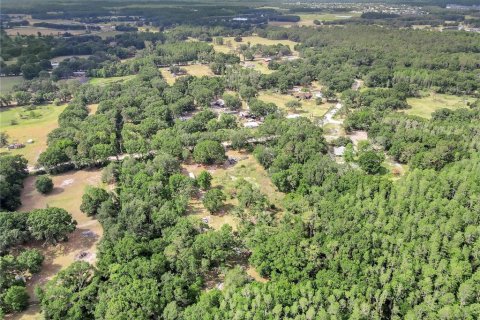 Land in Wesley Chapel, Florida № 1675739 - photo 8