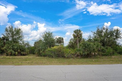 Land in Rotonda, Florida № 2158668