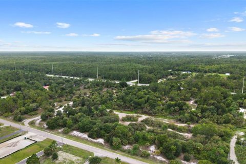 Land in Naples, Florida № 2148839 - photo 5