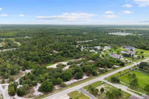 Land in Naples, Florida № 2148839 - photo 4