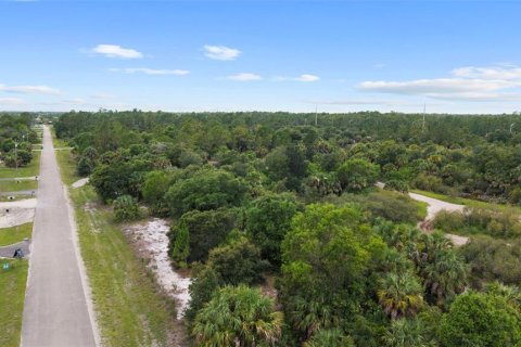 Land in Naples, Florida № 2148839 - photo 16