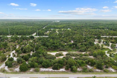 Land in Naples, Florida № 2148839 - photo 3