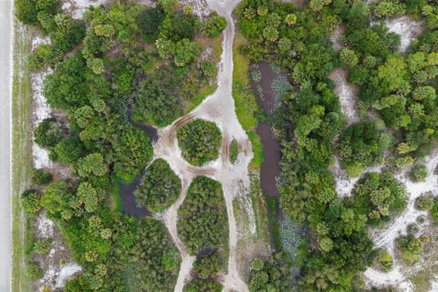 Land in Naples, Florida № 2148839 - photo 6