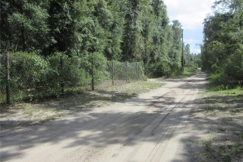Land in Silver Springs Shores, Florida № 2164285 - photo 17
