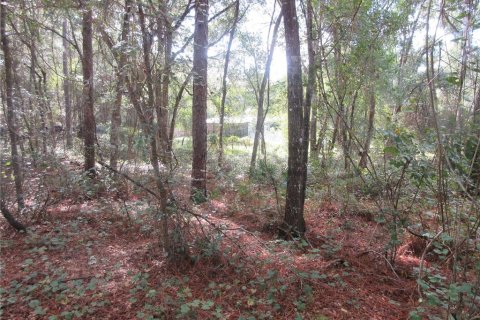 Land in Silver Springs Shores, Florida № 2164285 - photo 4